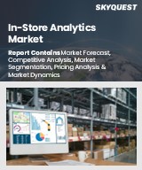 Global In-Store Analytics Market
