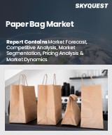 Global Paper Bag Market