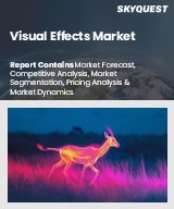 Global Visual Effect Market