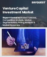 Global Venture Capital Investment Market