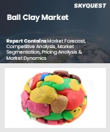 Global Ball Clay Market