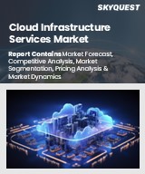 Global Cloud Infrastructure Services Market