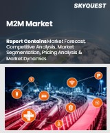 Global M2M Market