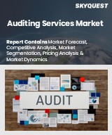 Global Auditing Services Market