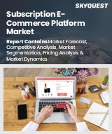 Global Subscription E-Commerce Platform Market