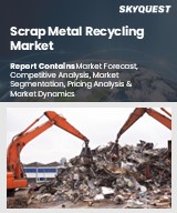 Global Scrap Metal Recycling Market