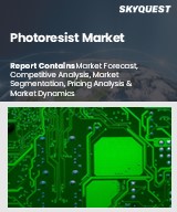 Global Photoresist Market