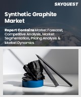 Global Synthetic Graphite Market
