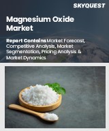 Global Magnesium Oxide Market