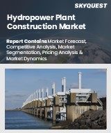 Global Hydropower Plant Construction Market