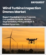 Wind Turbine Inspection Drones Market