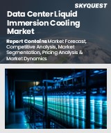 Global Data Center Liquid Immersion Cooling Market