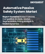 Global Automotive Passive Safety System Market