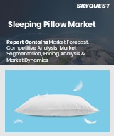 Global Sleeping Pillow Market