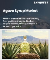 Global Agave Syrup Market