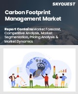 Global Carbon Footprint Management Market