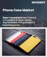 Global Phone Case Market