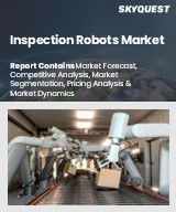 Global Inspection Robots Market