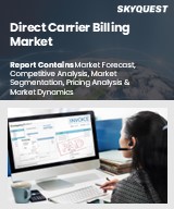Global Direct Carrier Billing Market