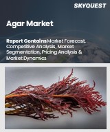 Global Agar Market