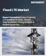 Global Fixed LTE Market