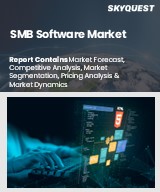 Global SMB Software Market