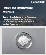 Global Calcium Hydroxide Market