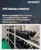 Global UPS Battery Market