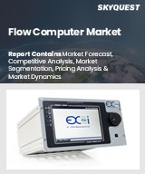 Global Flow Computer Market