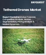 Global Tethered Drones Market