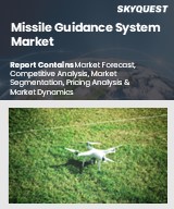 Global Missile Guidance System Market
