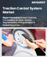 Global Traction Control System Market