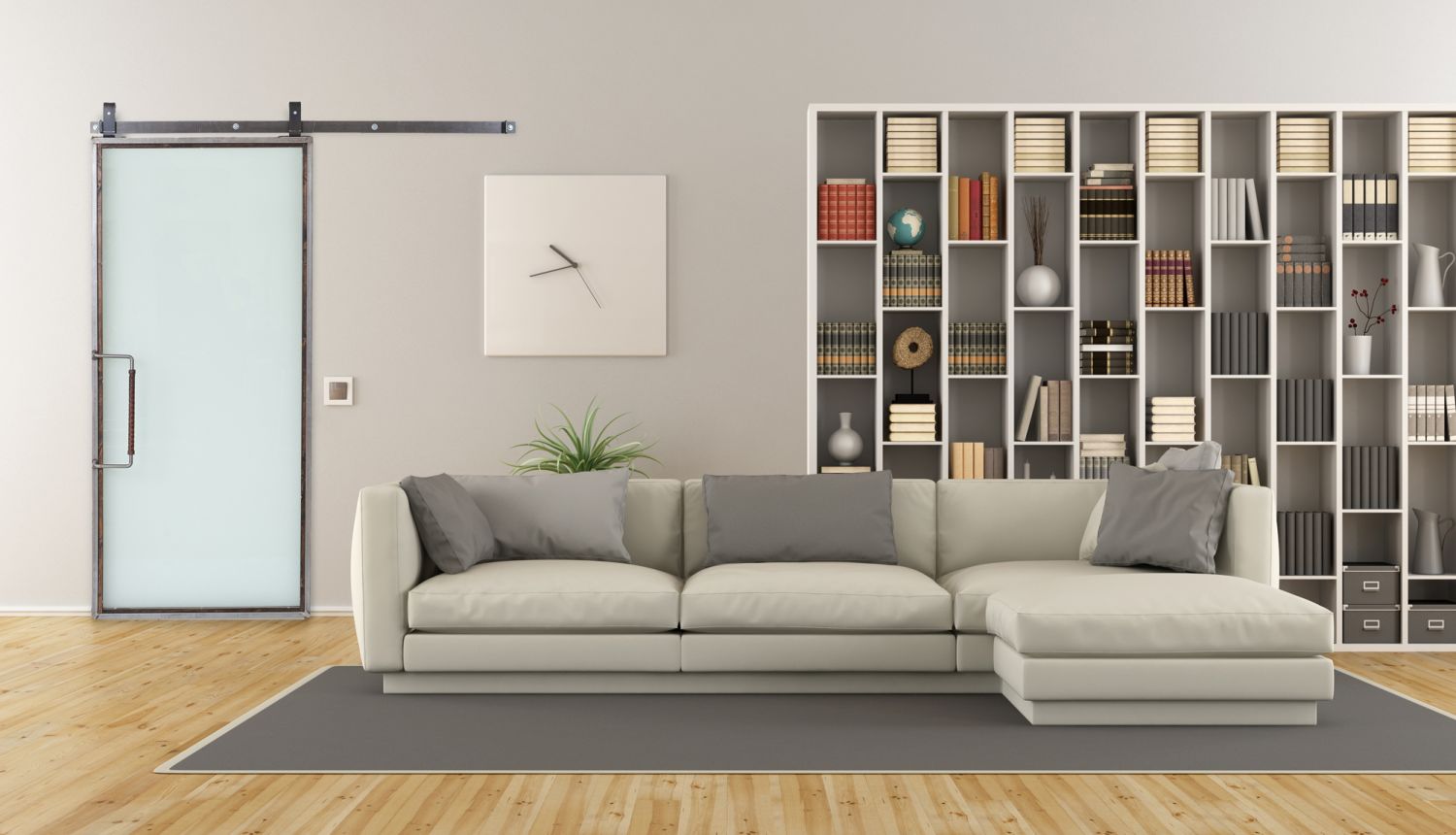 Frosted Glass Sliding Barn Door in Living Room