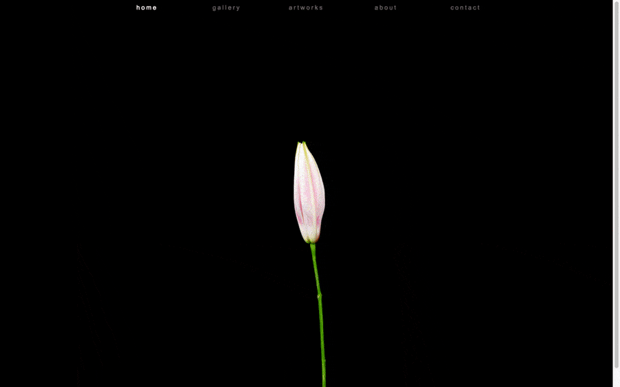 the cursor-interactive homepage