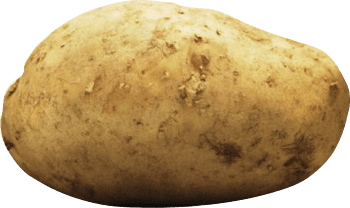 Potato