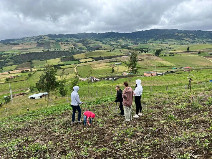 Siembra verdura temporada