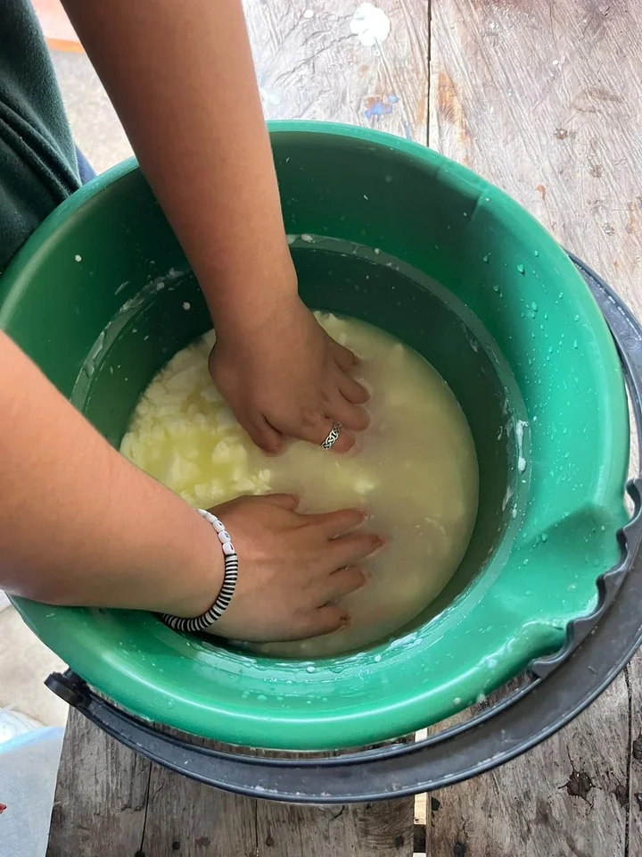 Cómo se hace el queso