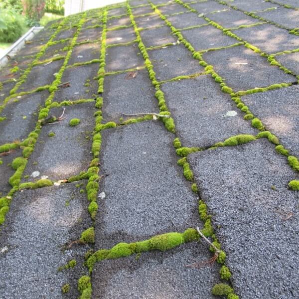 2017-07-21 – 154-min