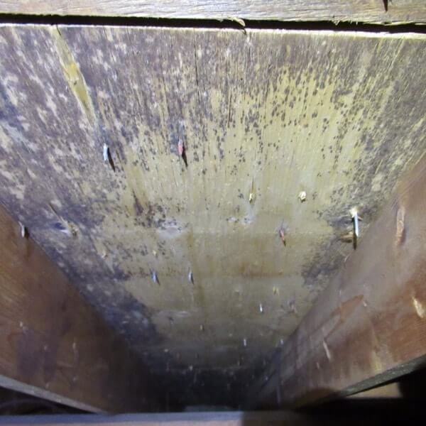 2017-08-23 – 481-min