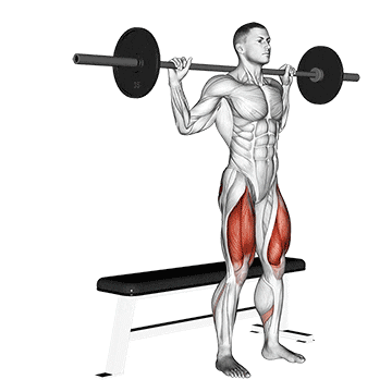 barbell bench squat