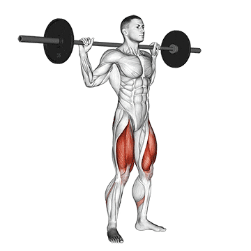 barbell full squat
