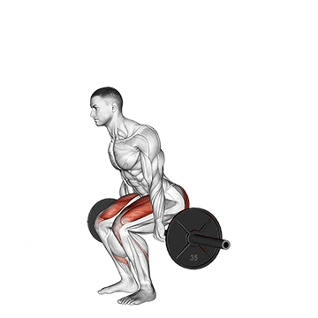 barbell hack squat