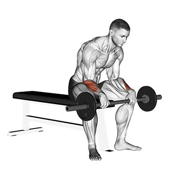 barbell revers wrist curl v. 2
