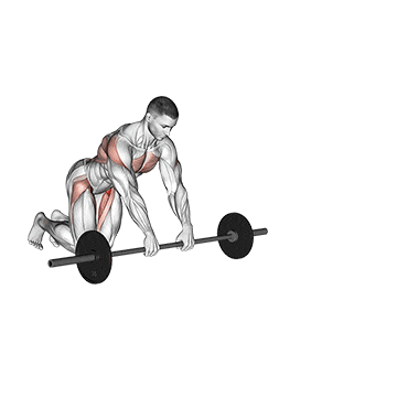 barbell rollerout