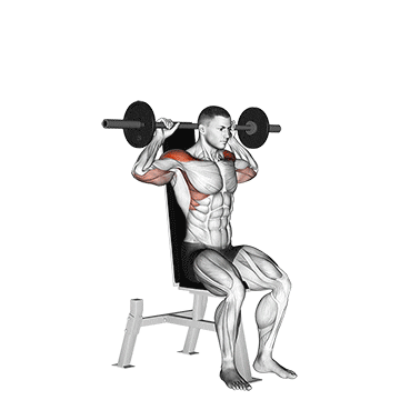 barbell seated bradford rocky press