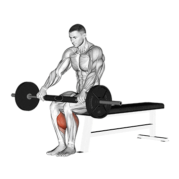 barbell seated calf raise