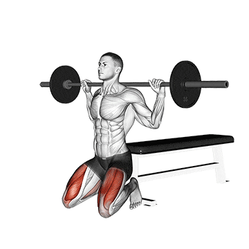 barbell squat (on knees)