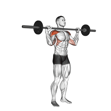 barbell standing bradford press