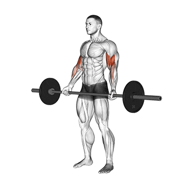 barbell standing wide-grip curl