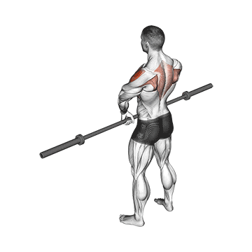 barbell upright row v. 3